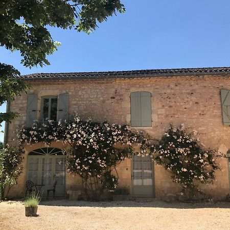 Domaine De La Durantie Duplex Vieux Chateau Castelnau-de-Montmiral Bagian luar foto